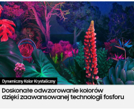 Samsung UE65BU8002 - 1046846 - zdjęcie 7